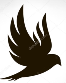Чорний птах, ізольовані з розпростертими крилами — Стоковий вектор ©  vip2807 #54108291